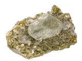 Beryl #16899
