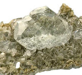 Beryl #16899