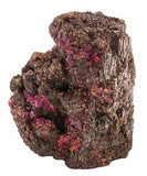 Painite #16904