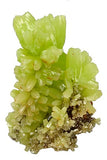 Pyromorphite #17004