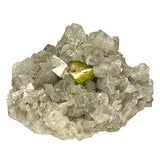 Pyrite #18486