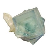 Fluorite #18554