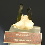 Tourmaline #18648