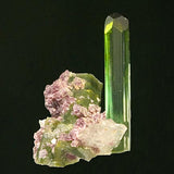 Tourmaline #18813