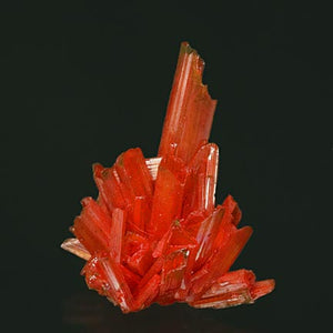 Crocoite #19116